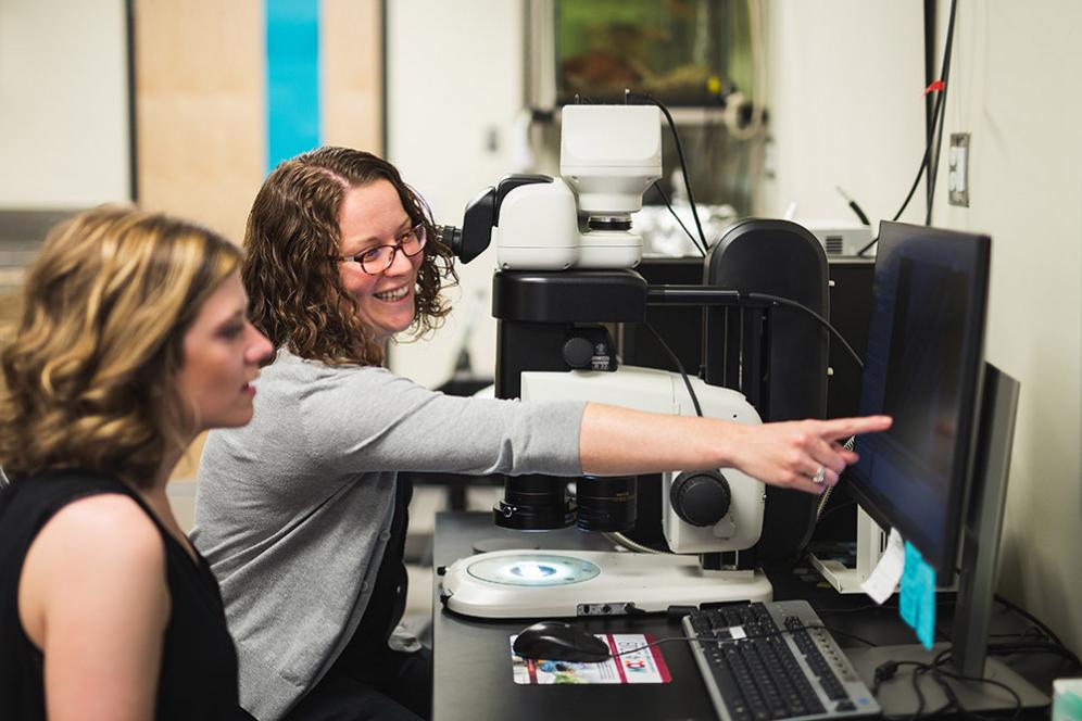 教授. Andrea Henle helps a student with a research project. 因为博彩网址大全是一所有sm的大学...